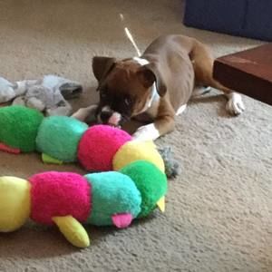 Meet your Posher, Lloyd